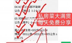 爱游戏体育-甘冈客场坚守，保持不败的战绩