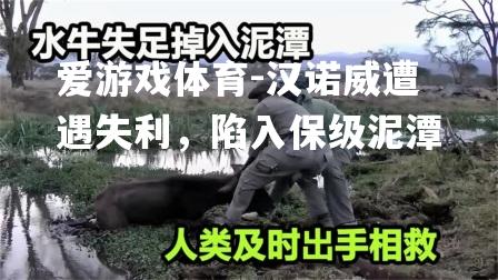 汉诺威遭遇失利，陷入保级泥潭